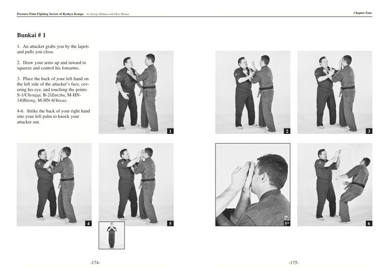 Martial Arts Pressure Points Chart