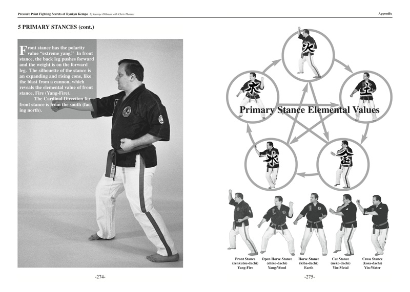 Self Defense Pressure Points Chart